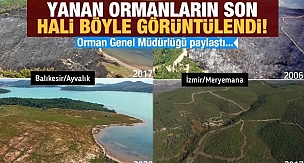 Külden yeşile dönüşüyorlar