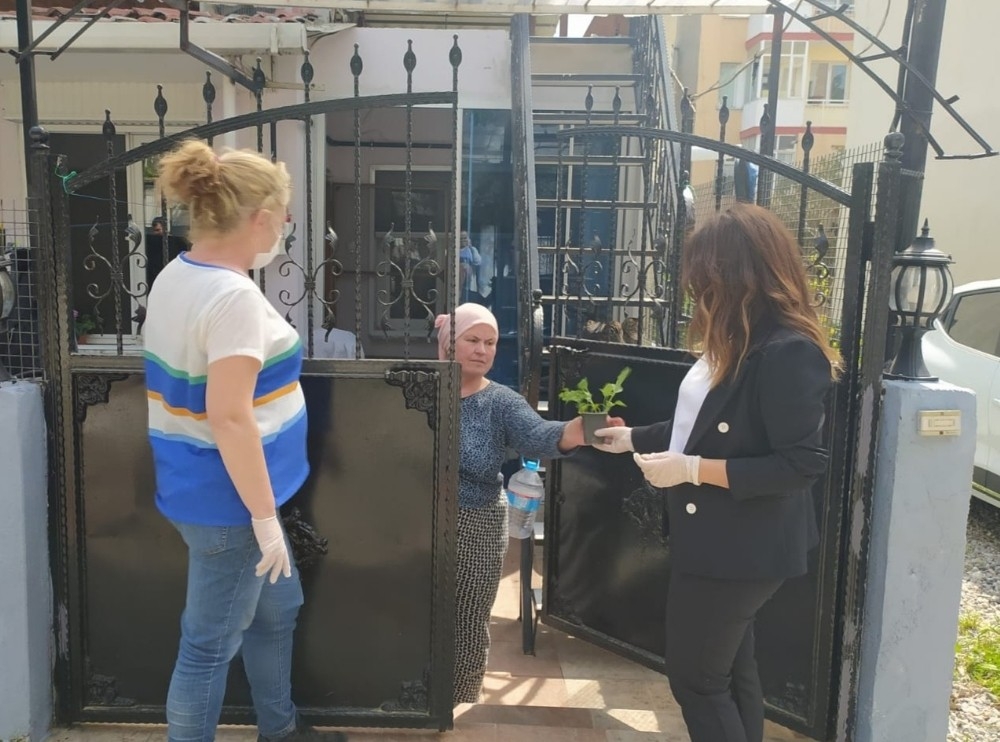 Buca'da balkon tarımı başladı: "Evde kal, evde üret"