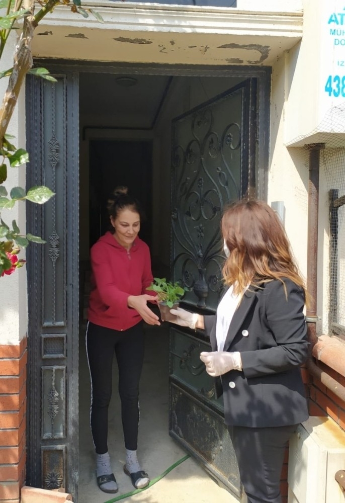 Buca'da balkon tarımı başladı: "Evde kal, evde üret"