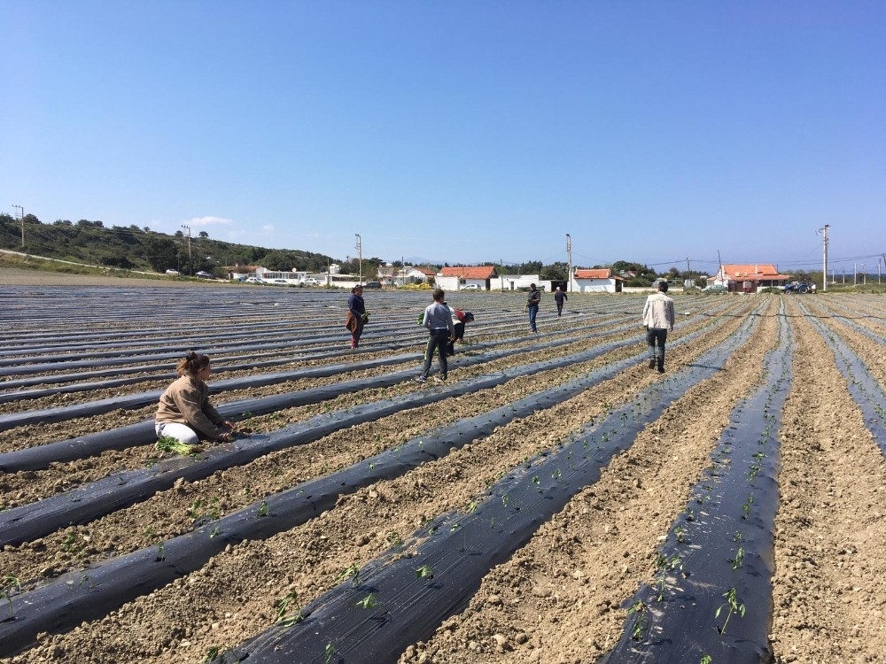 Çeşmeli üretici kısıtlama günlerinde de üretimde