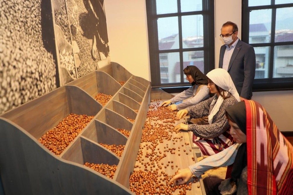 Fındığın öyküsü bu müzede