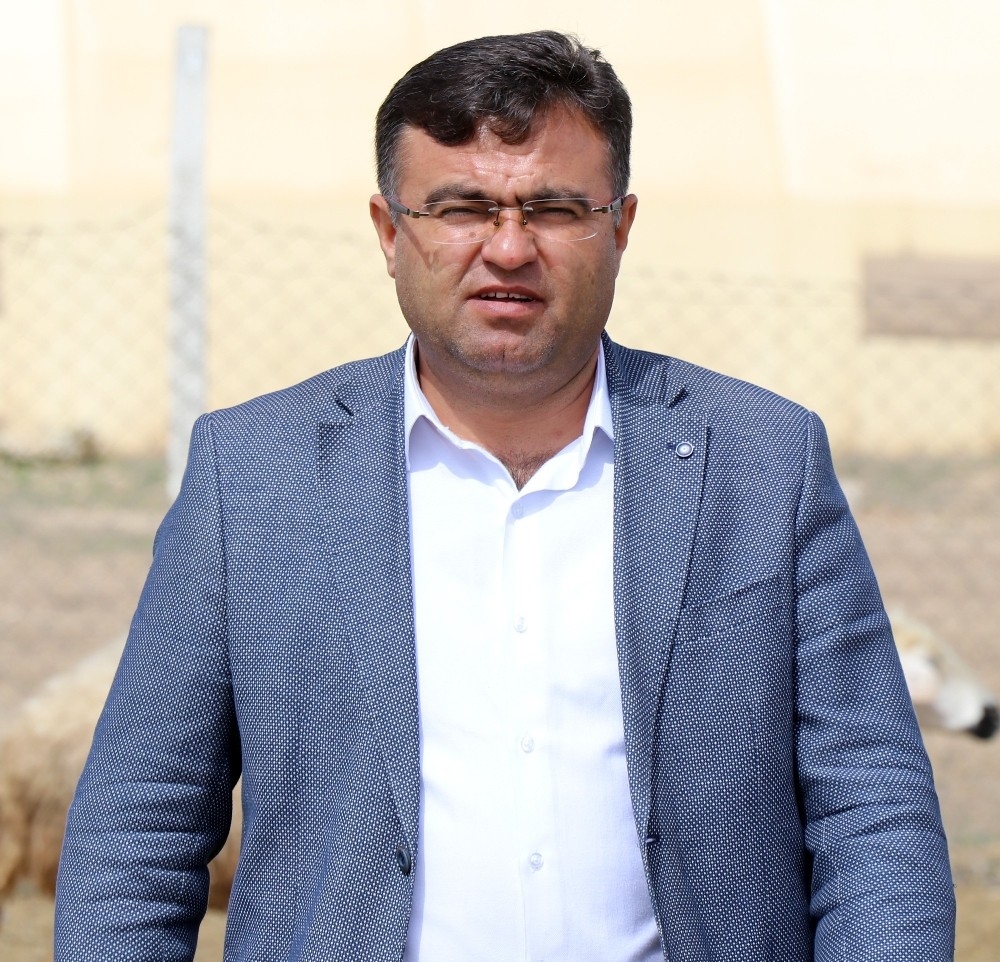 Hayvan üreticisine 1 milyar 100 milyon lira destek