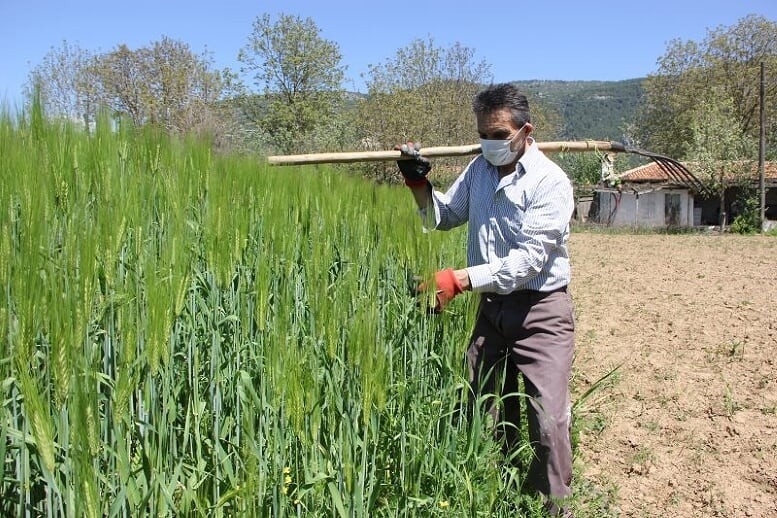 Muğla'da çiftçiler üretim için çalışıyor