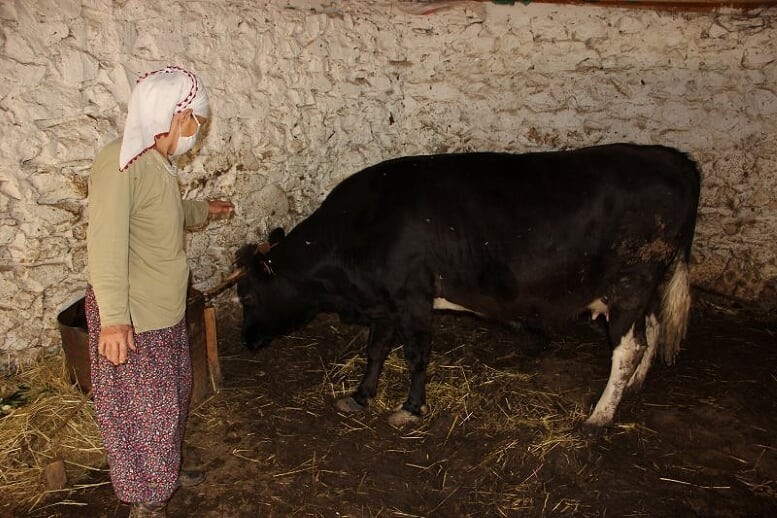 Muğla'da çiftçiler üretim için çalışıyor