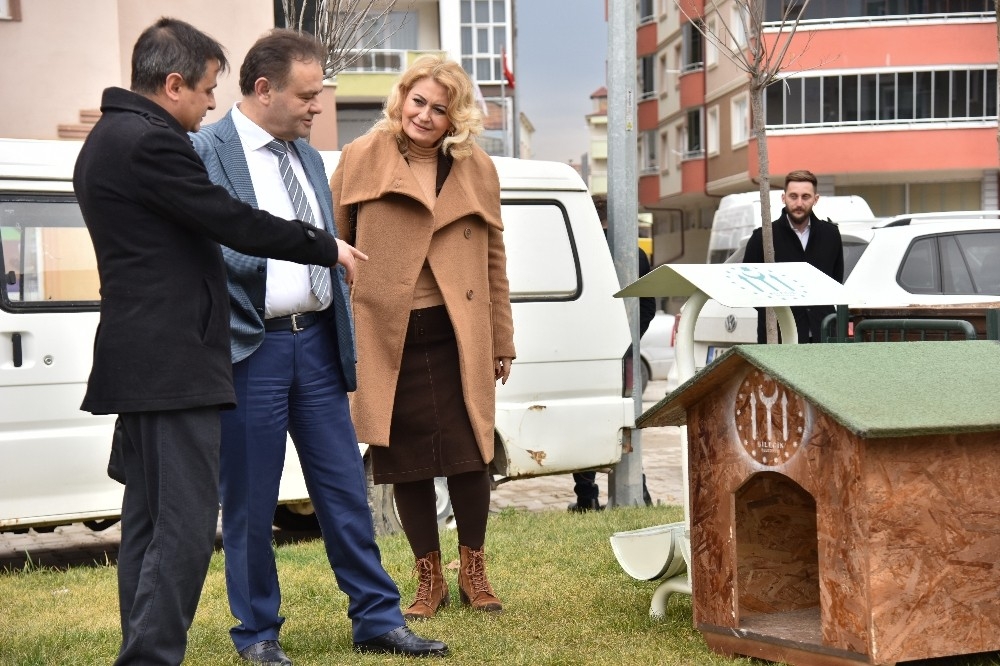Salgın sebebi ile kedi ve köpekler sokağa terk ediliyor