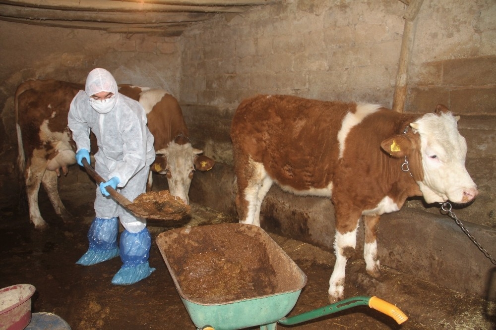 7 kişilik aile de Koronayı yendi, Elazığ'da sadece 5 vaka kaldı