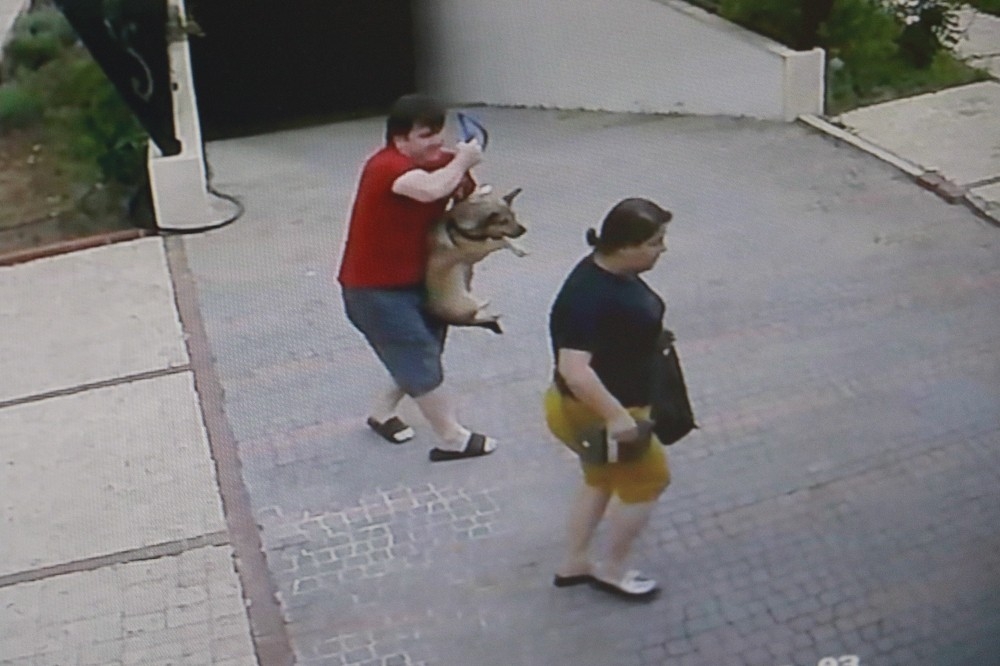 Bir anda ortaya çıktı, köpekli çifte dünyayı dar etti