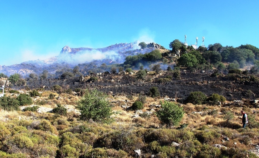 Bodrum'da korkutan yangın