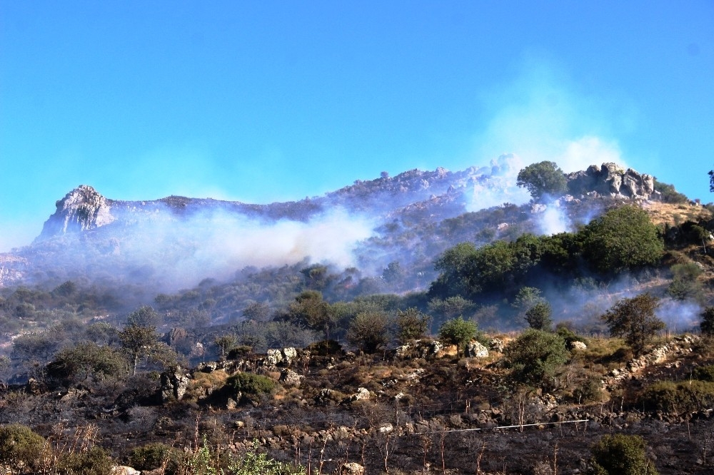 Bodrum'da korkutan yangın