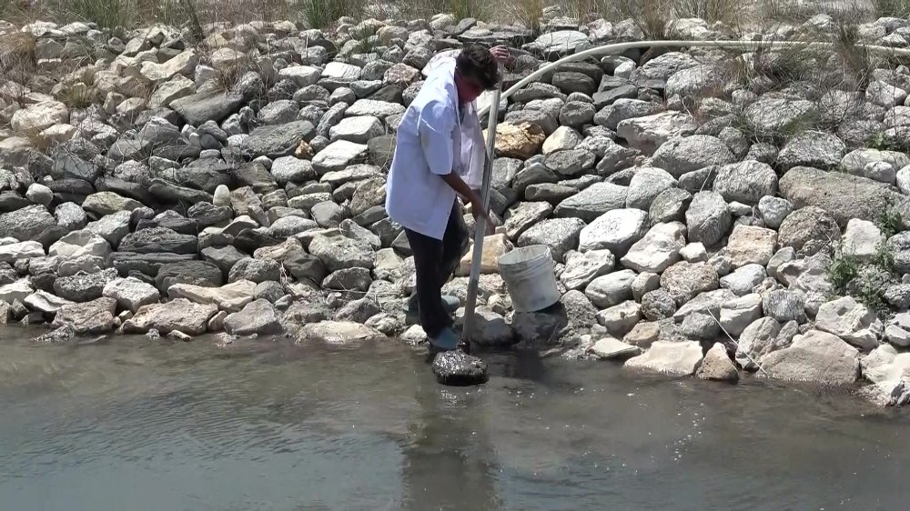 Bu çamur dünyanın sivilcesini temizliyor