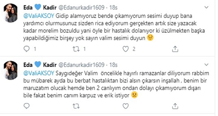 Hamile kadının aşerdiği erik ve karpuz kapısına geldi