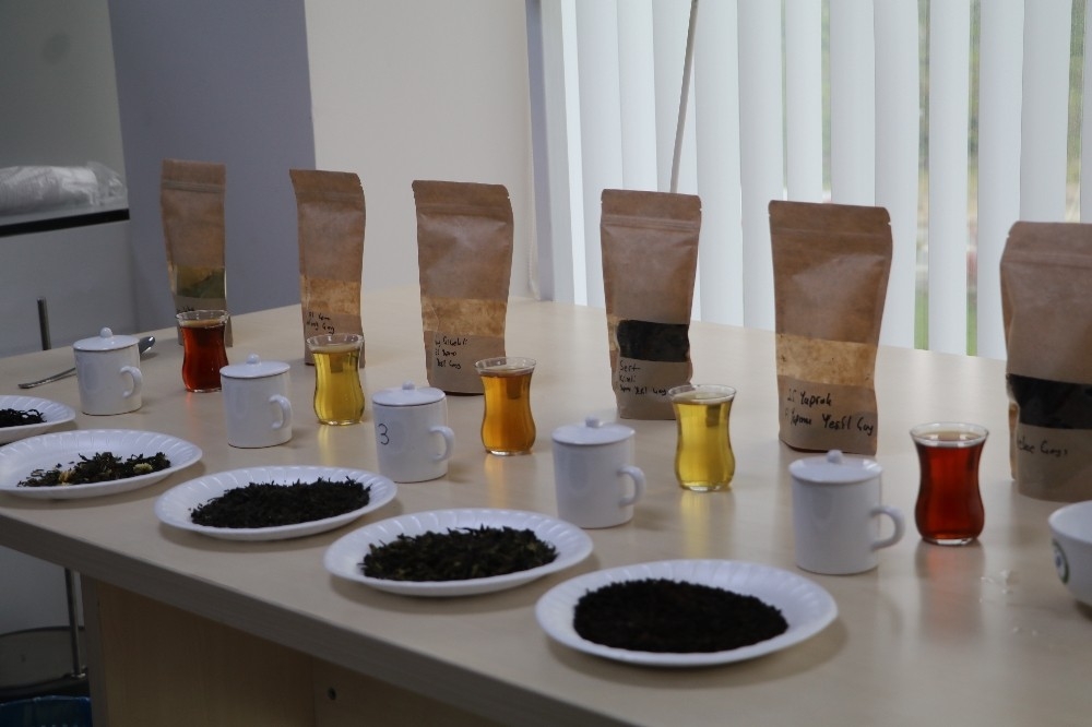 İmparatorların Çayı 'Beyaz Çay' tahtını 'Ballı Altın Çay'a kaptırdı