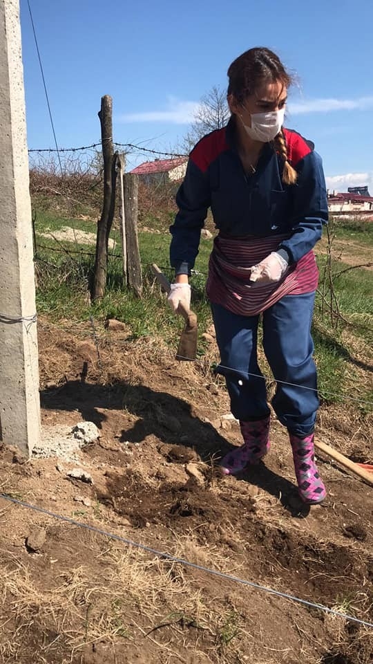 Kaymakam hanım tarlaya girdi