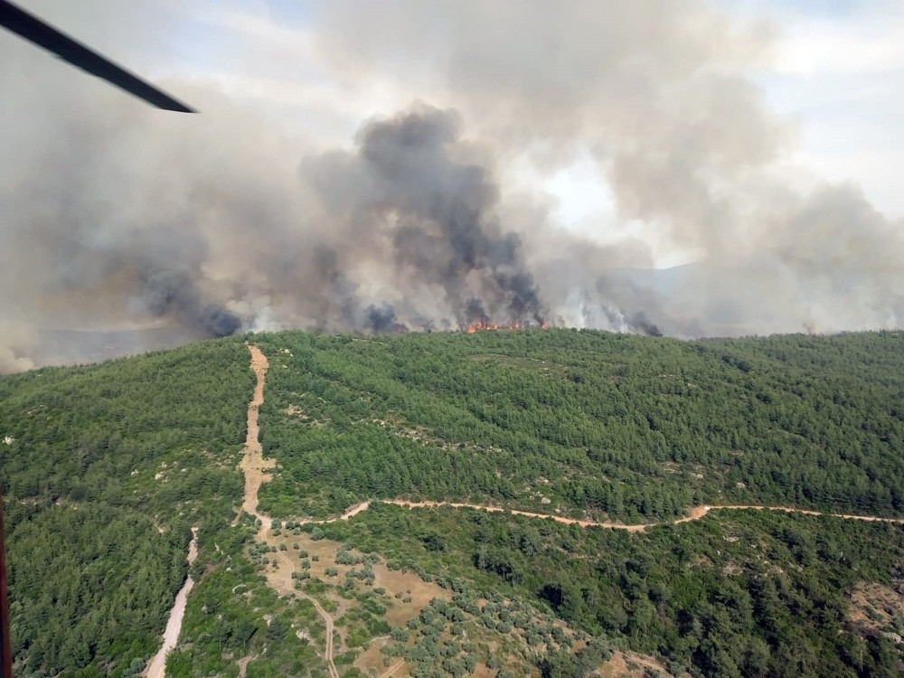 Muğla'daki orman yangını büyüyor
