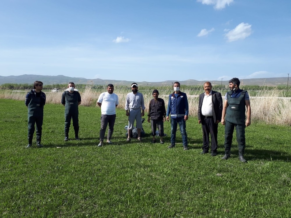 Ölmek üzere olan 3 ton balığı kovalarla taşıdılar