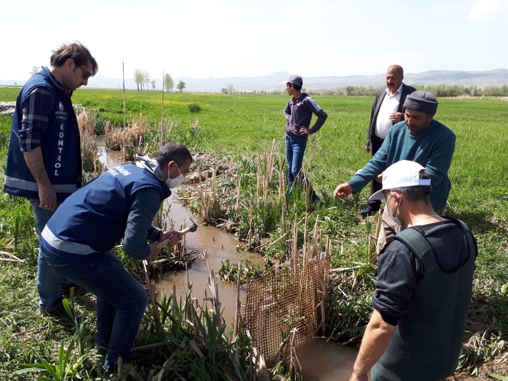 Ölmek üzere olan 3 ton balığı kovalarla taşıdılar