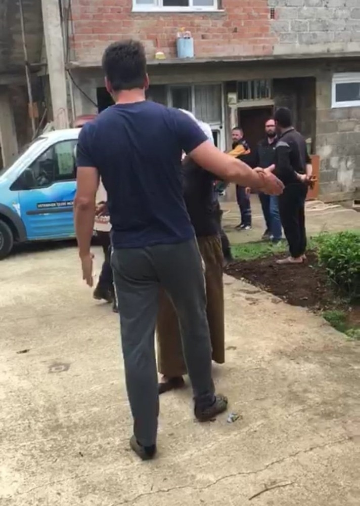 Sokak köpekleri yüzünden dövüldü