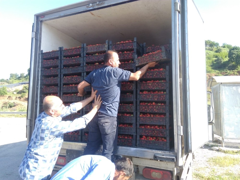 Tarlada 5, marketlerde 15 lira