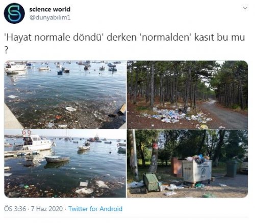 Doğaya bu tahribatı yapanlara ne isim verelim!