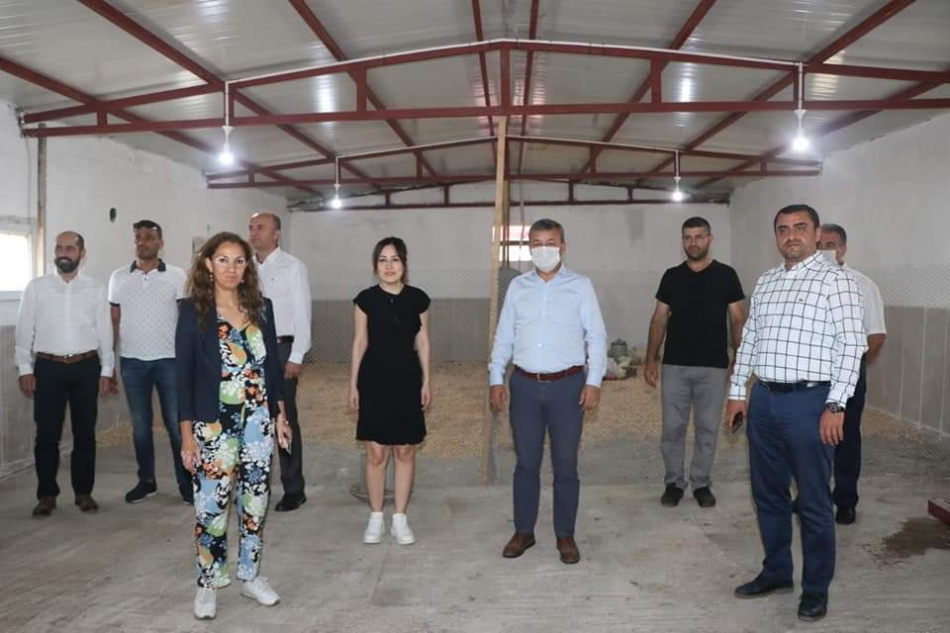 Müdürden Babalar Günü hediyesi: 1200 tavuk