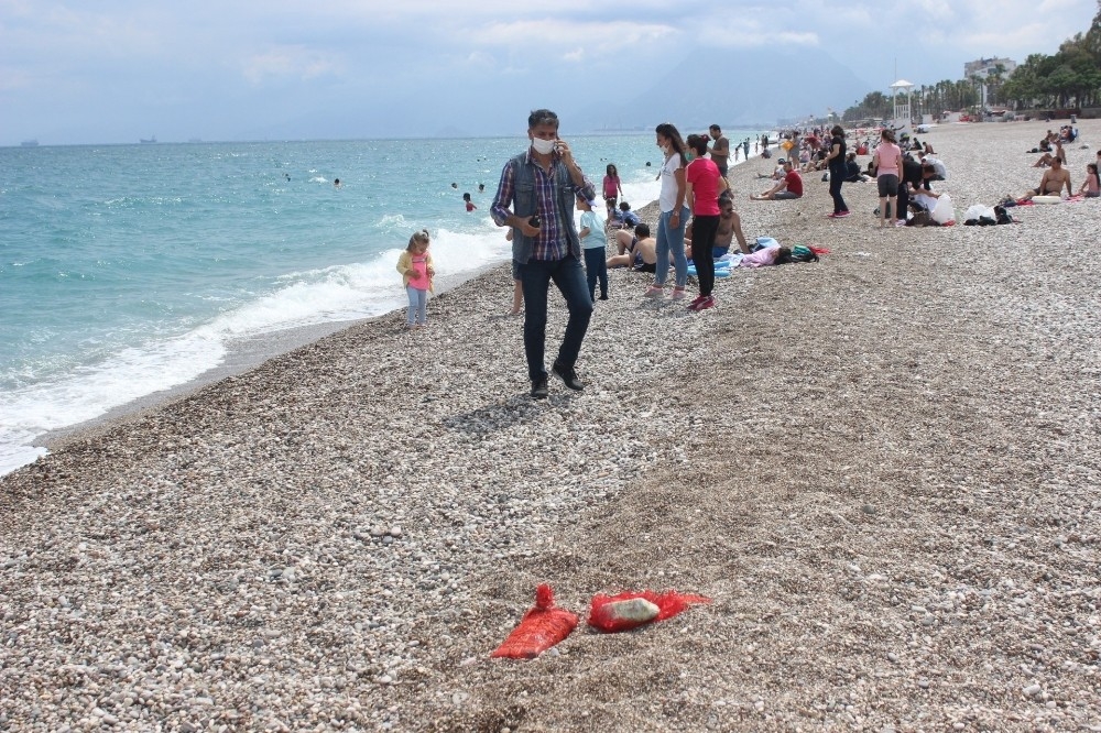Antalya büyücüleri!