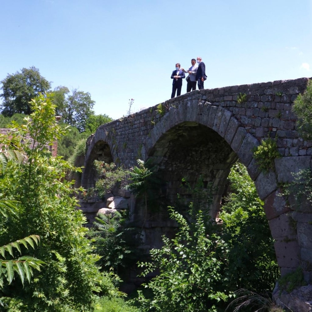 Bakan Pakdemirli, Bergama için ihale tarihini verdi