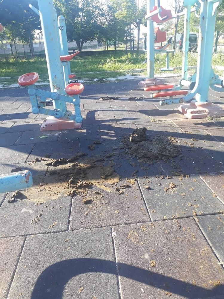 Çocuk parkını büyükbaş hayvanlar işgal etti