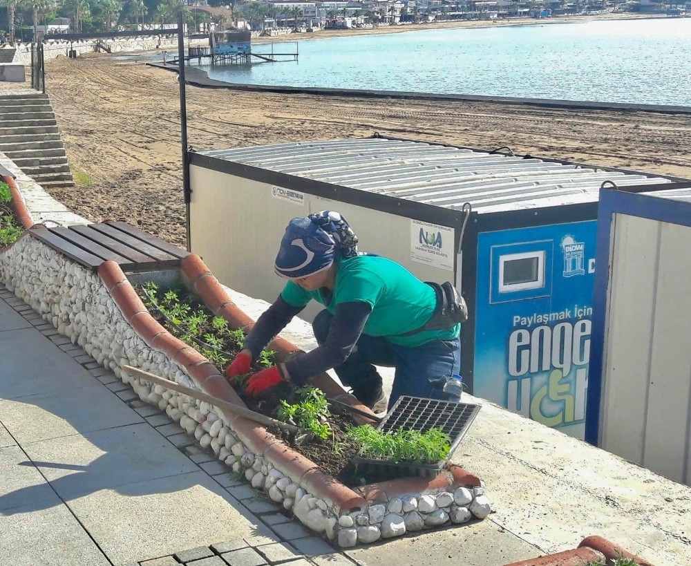 Didim çiçek açıyor