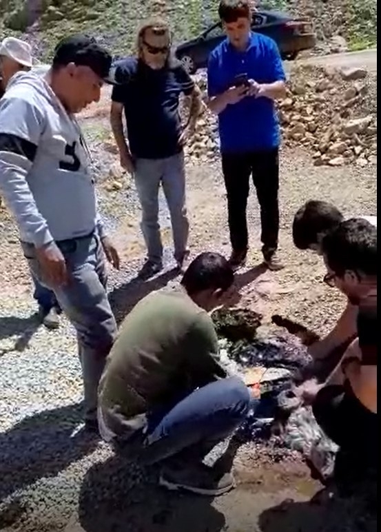 Eriyen zift tabakasına yapışan yavru keçi kurtarıldı