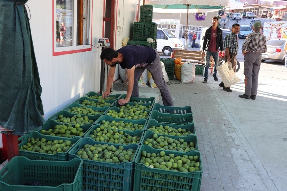 İncir sezonu öncesi ilek pazarı hareketlendi