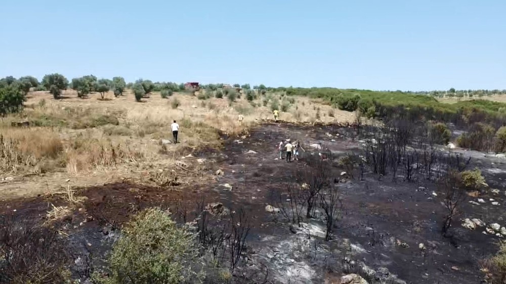 İzmir'de makilik alanda korkutan yangın