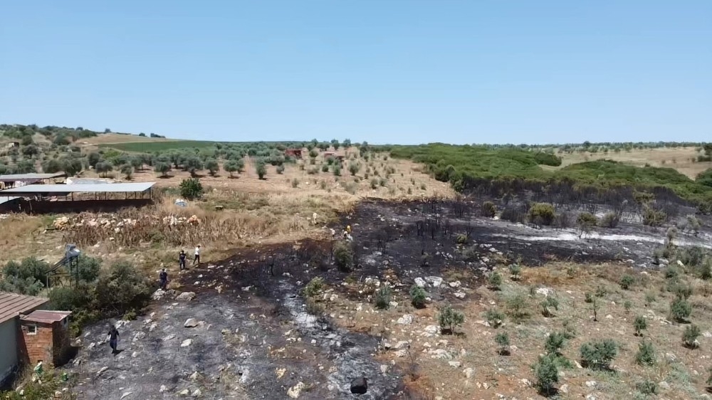 İzmir'de makilik alanda korkutan yangın