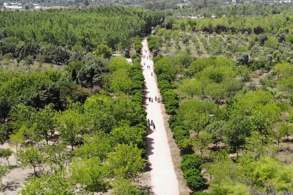 İzmirliler, soluğu piknik alanlarında aldı