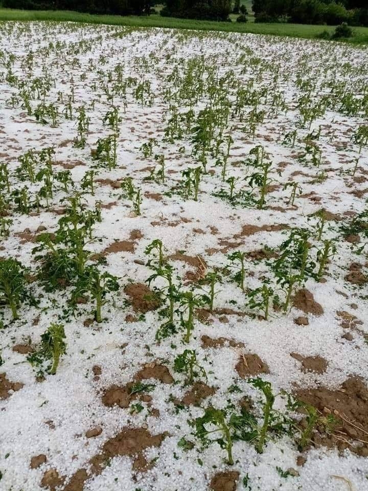 Kar değil dolu!