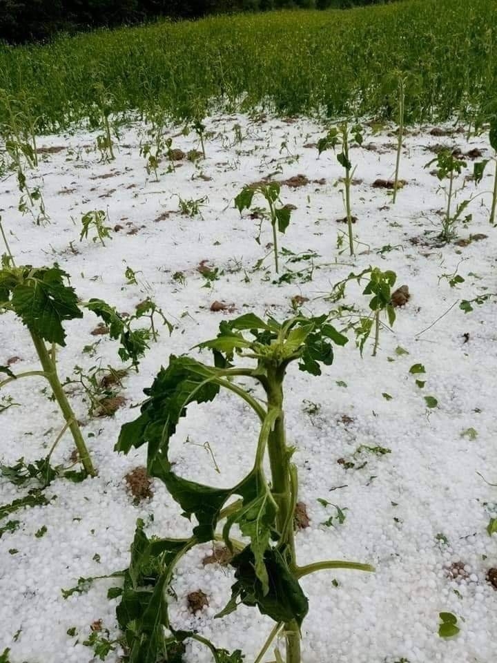 Kar değil dolu!