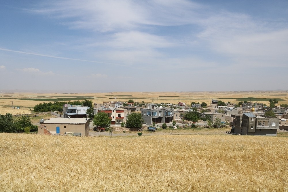 Nişana gittiler, korona kaptılar
