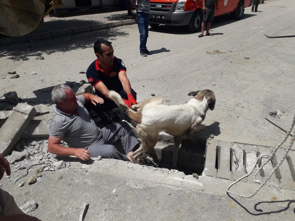 Rögarda köpek kurtarma operasyonu