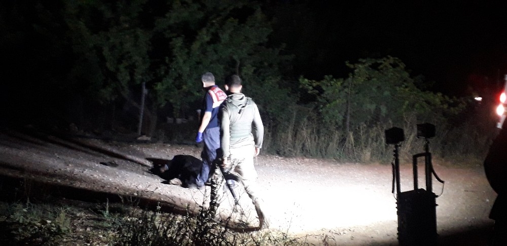 Şanlıurfa'da arazi kavgası: 2 ölü, 3 yaralı