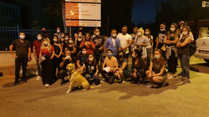 Köpeğe tecavüz ederek öldüren serbest