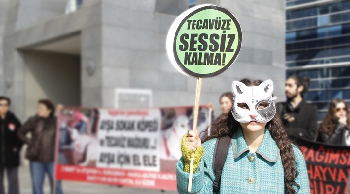 Köpeğe tecavüz ederek öldüren serbest