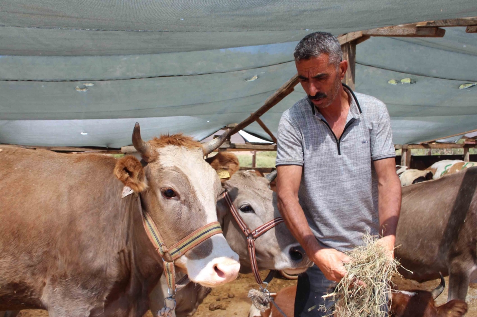 Karşıyaka Kurban Bayramı’na hazır