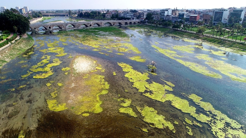 Adana'nın Haliç'i