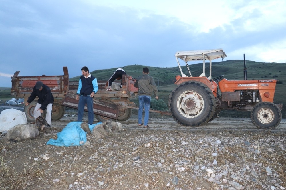 Ağrı'da sel felaketi: İşçiler kıl payı kurtuldu