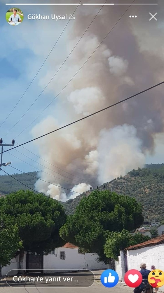 Aydın dağları alevlere teslim oldu
