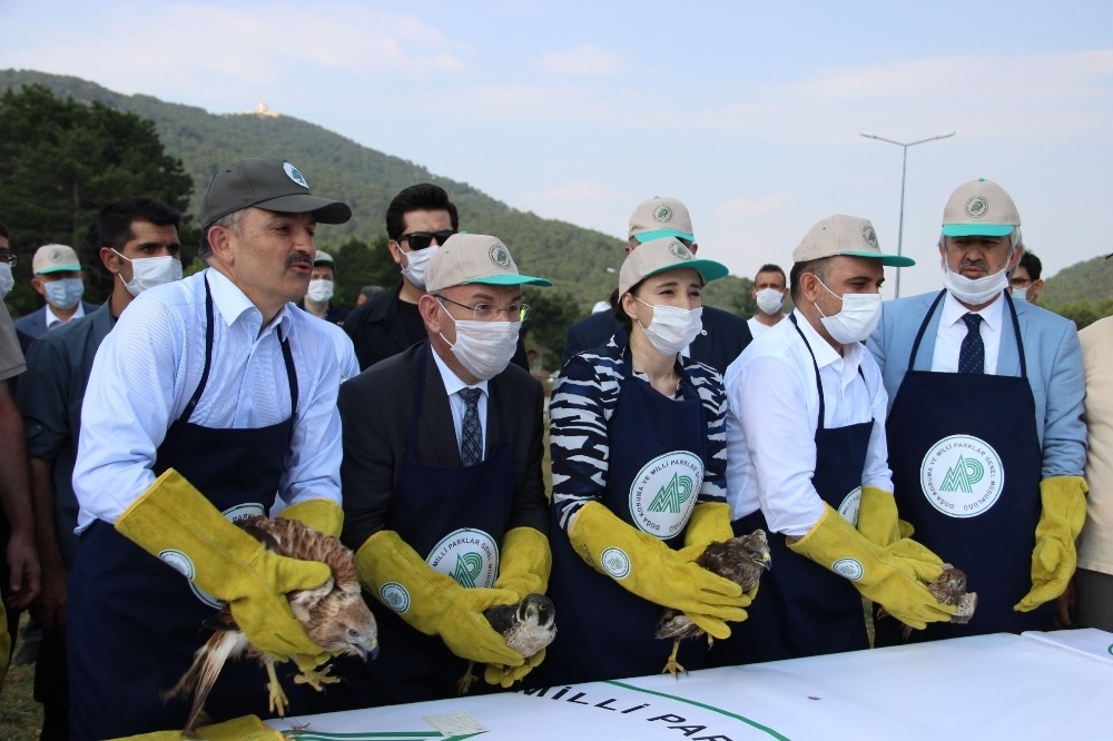 Bakan Pakdemirli doğaya şahin ve 102 keklik saldı