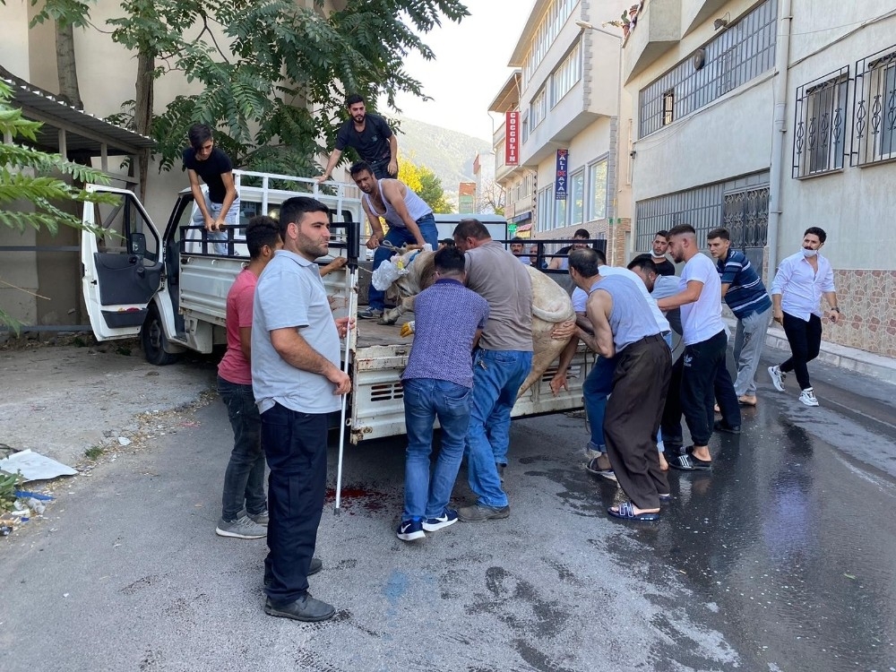 Boğa önde vatandaşlar arkada