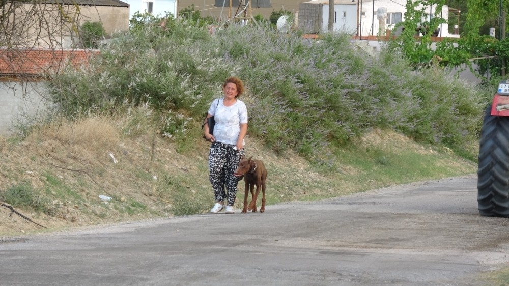 Çanakkale'de 3 köy boşaltıldı