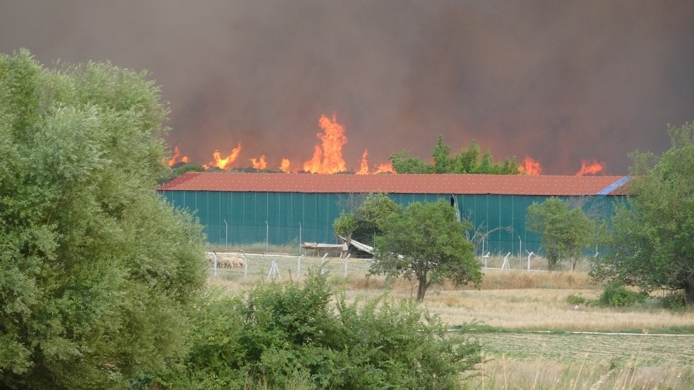 Çanakkale'de 3 köy boşaltıldı