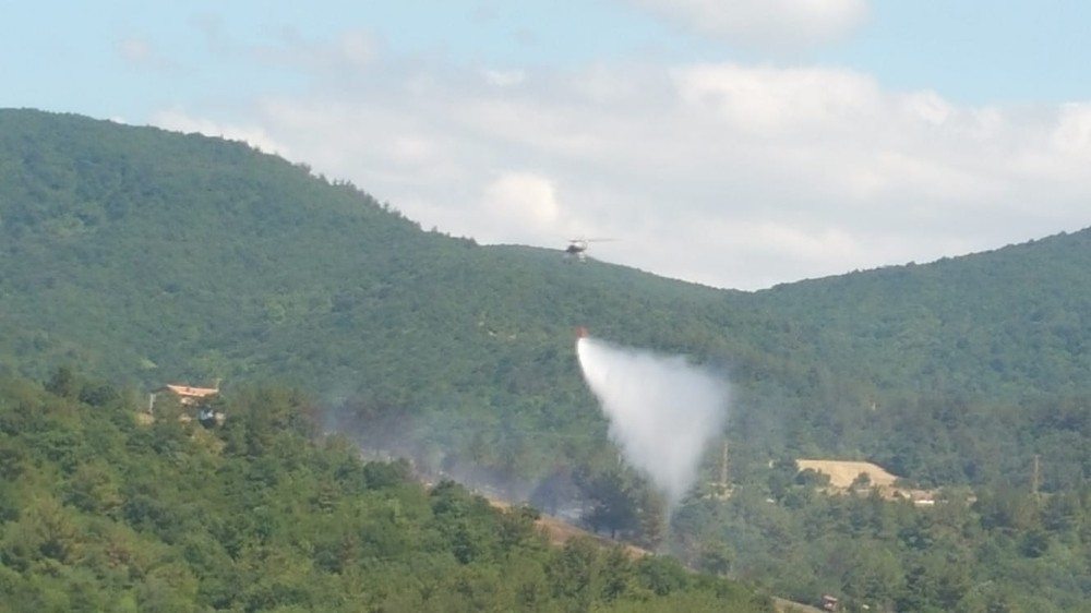 Çanakkale'de bir orman yangını daha