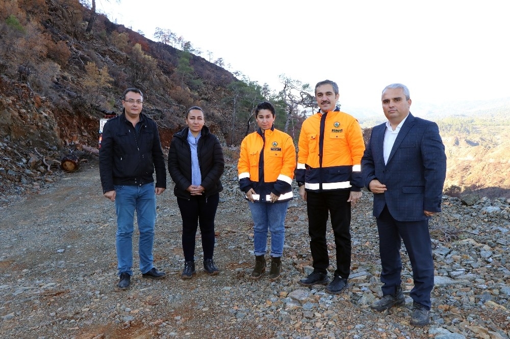 Dalaman ve Göcek tekrar yeşeriyor
